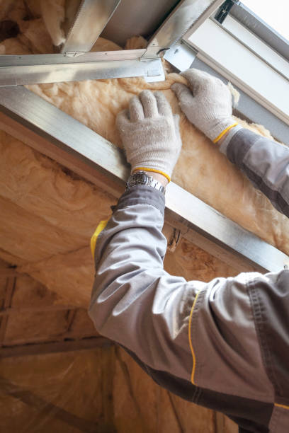 Best Eco-Friendly Insulation in St Francis, KS