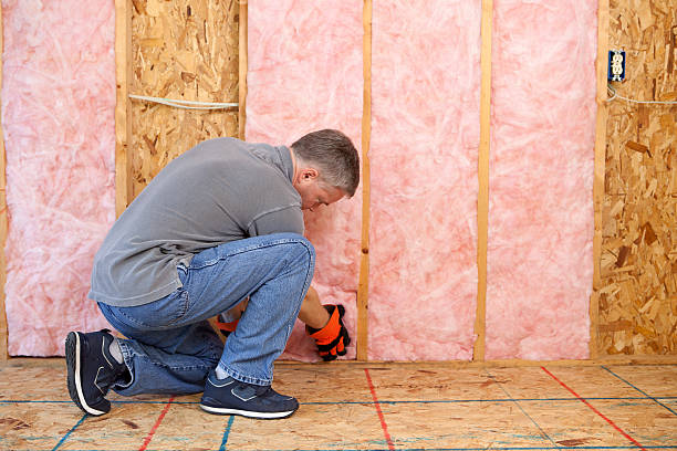 Best Specialized Insulation Services in St Francis, KS